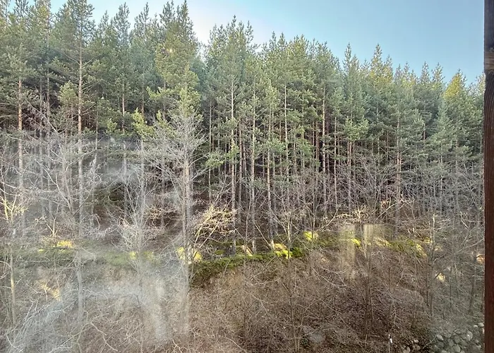 Panorama Home2host *