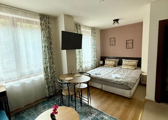 Panorama Home2host 公寓 班斯科